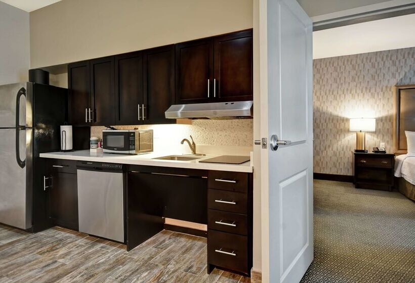 ホテル Homewood Suites By Hilton Dallas Arlington South