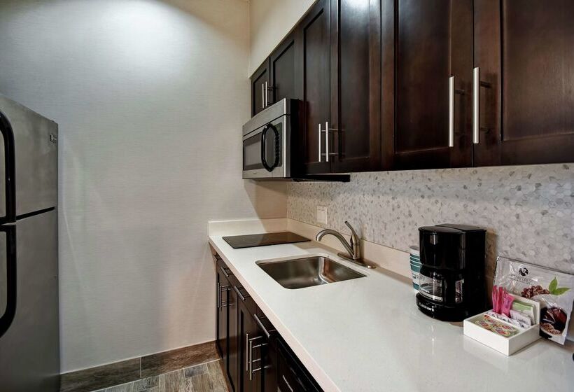 ホテル Homewood Suites By Hilton Dallas Arlington South