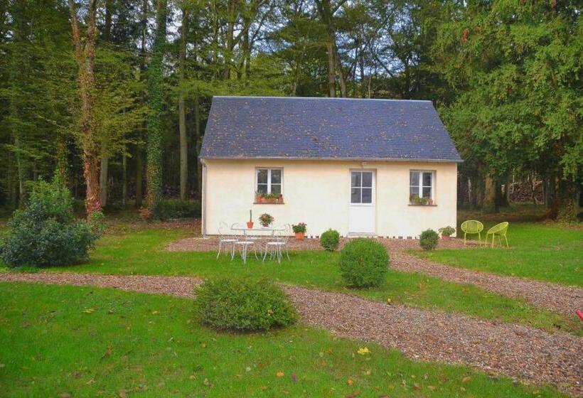 Отель Hôtel Les Grands Chênes