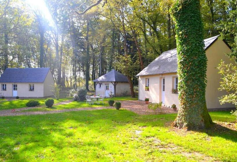 Отель Hôtel Les Grands Chênes