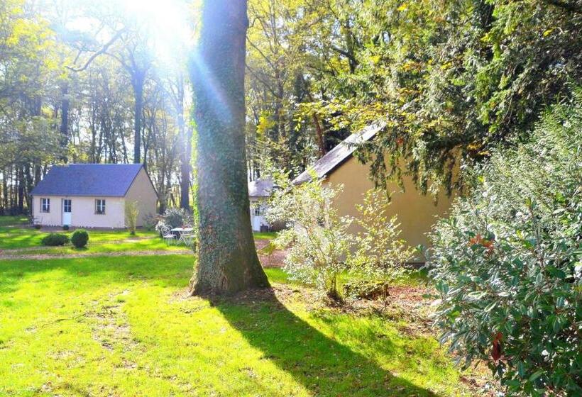 Отель Hôtel Les Grands Chênes