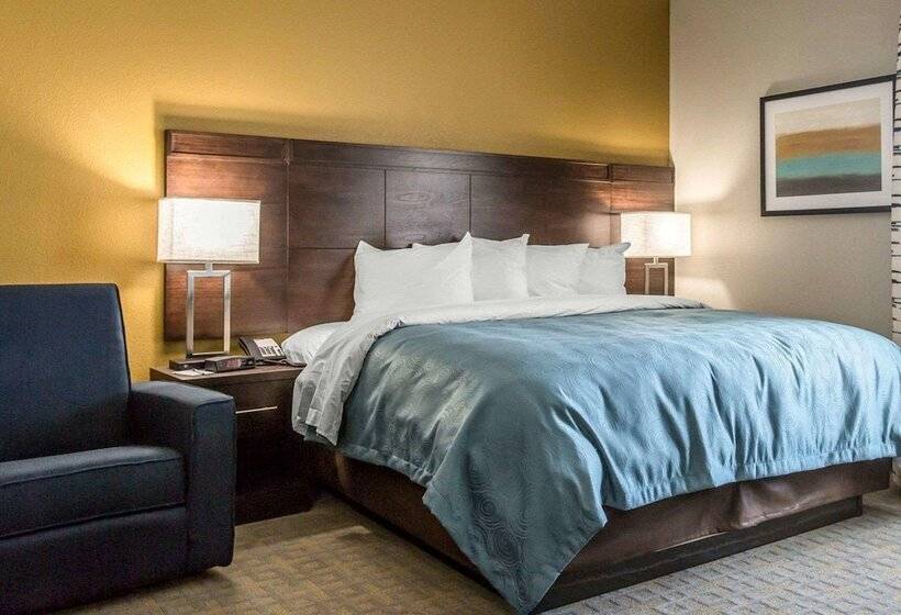 Отель Mainstay Suites Midland