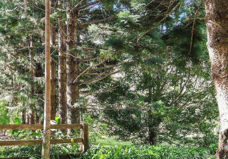 בית מלון כפרי Montville Country Cabins