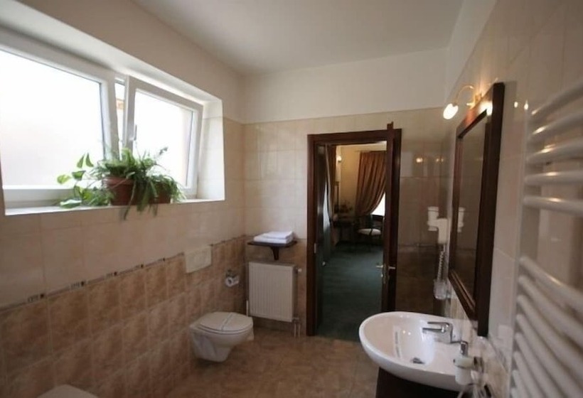 בית מלון כפרי Pensiunea La Residenza