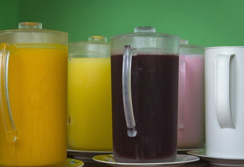 Отель Pousada Camila