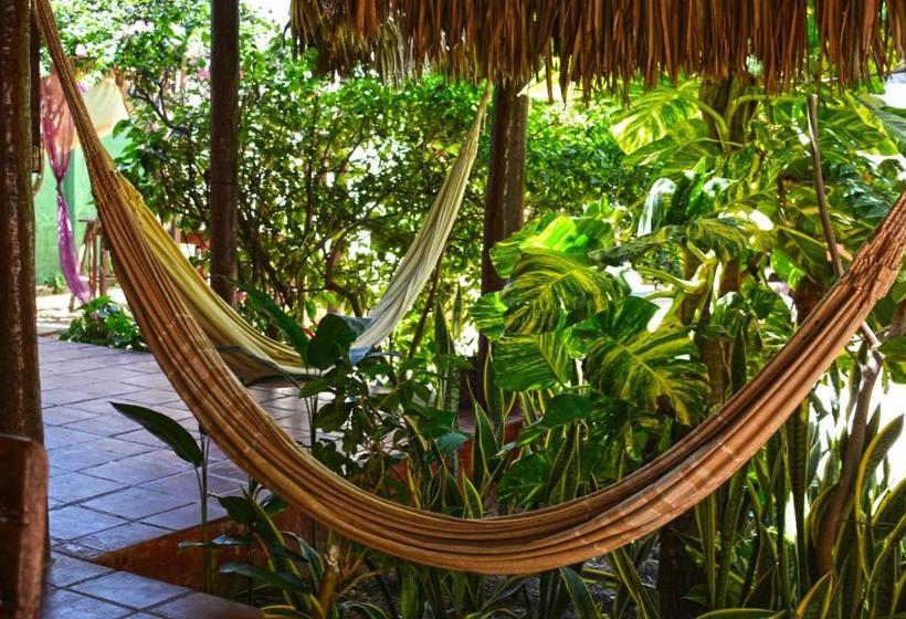 فندق Pousada Chalé Jeri