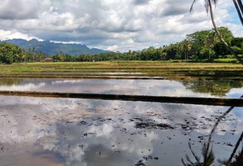 בית מלון כפרי Rajasa