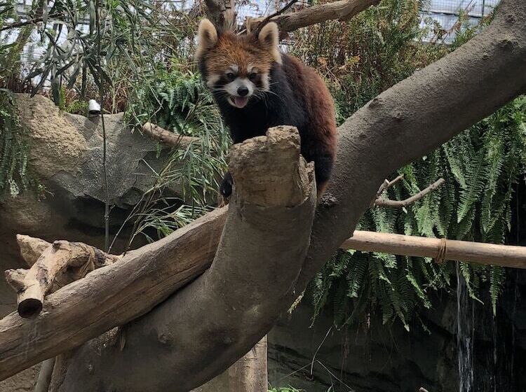 Smile Hotel Kobe Motomachi