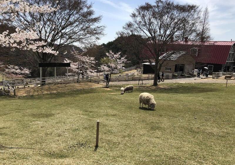 Smile Hotel Kobe Motomachi