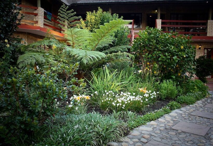 酒店 Storms River Guest Lodge