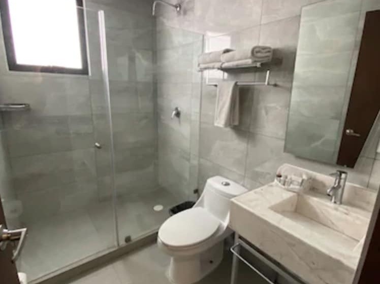 ホテル Suites Lerma