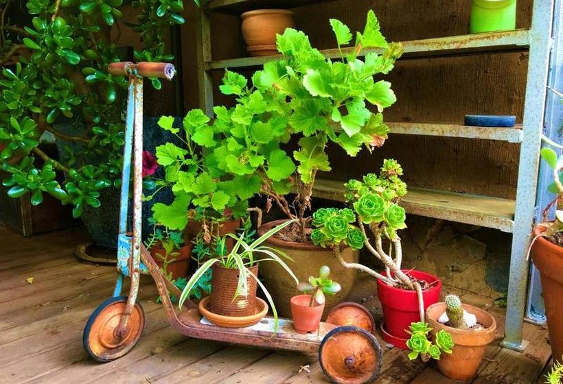 ホテル Sutton Spring Art Retreats