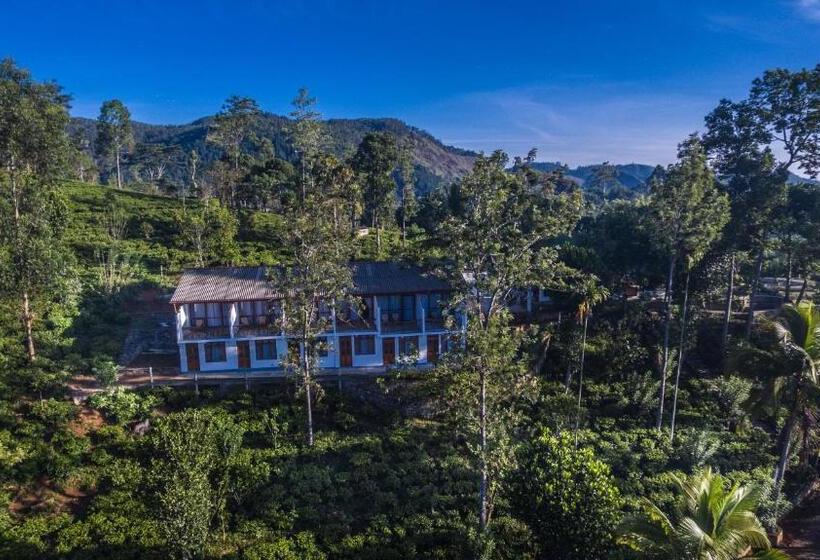 酒店 The Tea Tree Resort