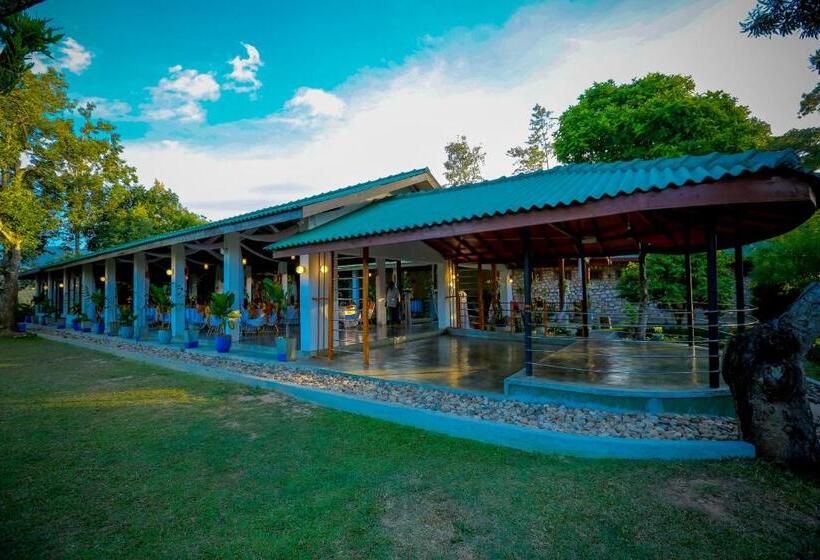 酒店 The Tea Tree Resort