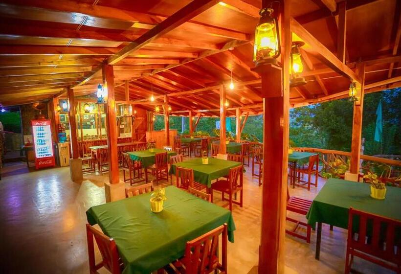 酒店 The Tea Tree Resort