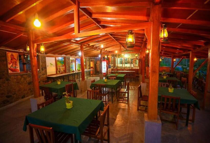 酒店 The Tea Tree Resort