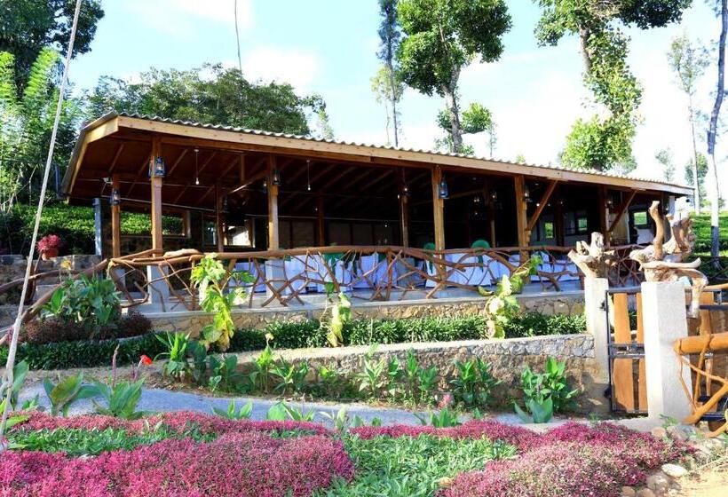 酒店 The Tea Tree Resort