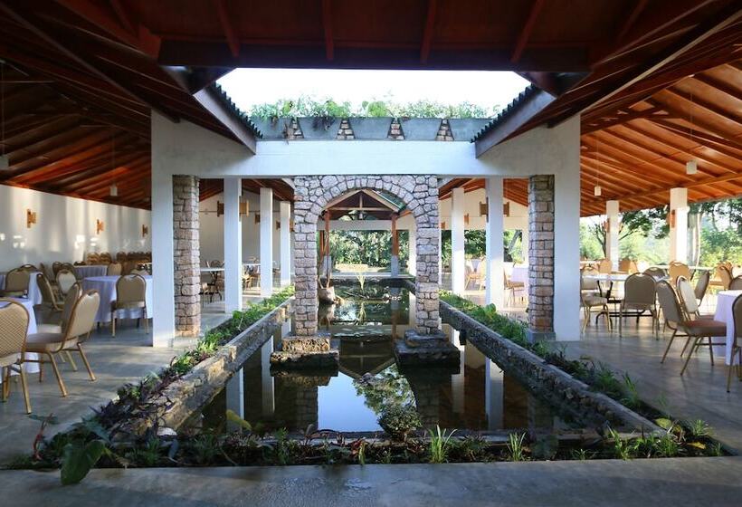 酒店 The Tea Tree Resort