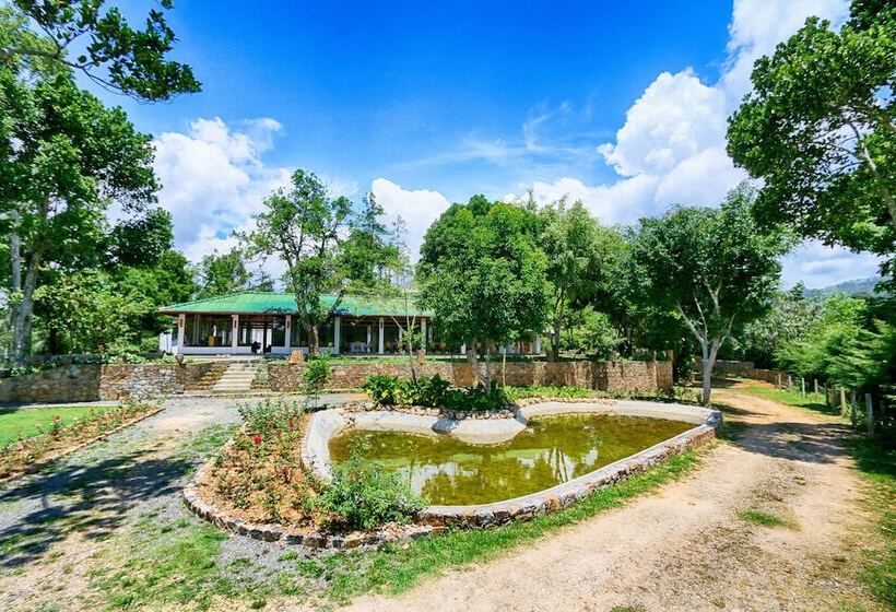 酒店 The Tea Tree Resort