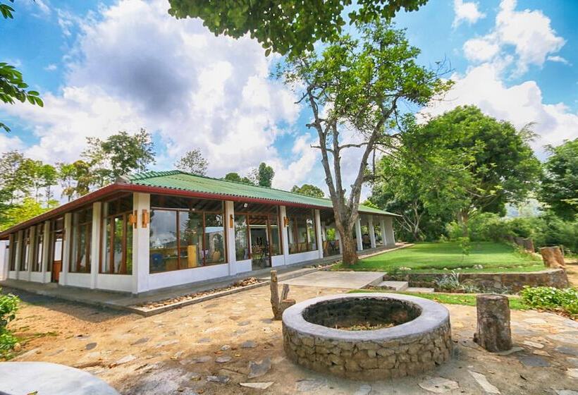 酒店 The Tea Tree Resort