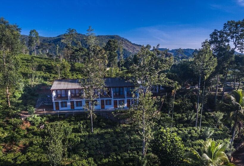 酒店 The Tea Tree Resort