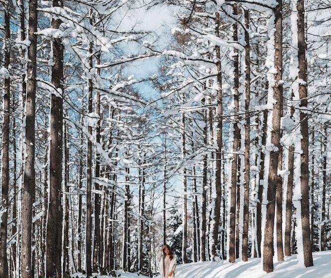 호텔 The Westin Rusutsu Resort