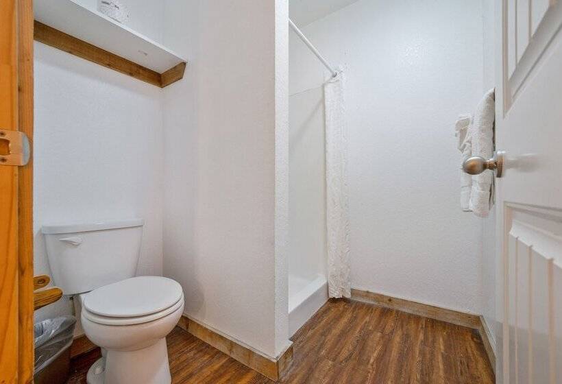 汽车旅馆  Kenedy Downtown   Us 181