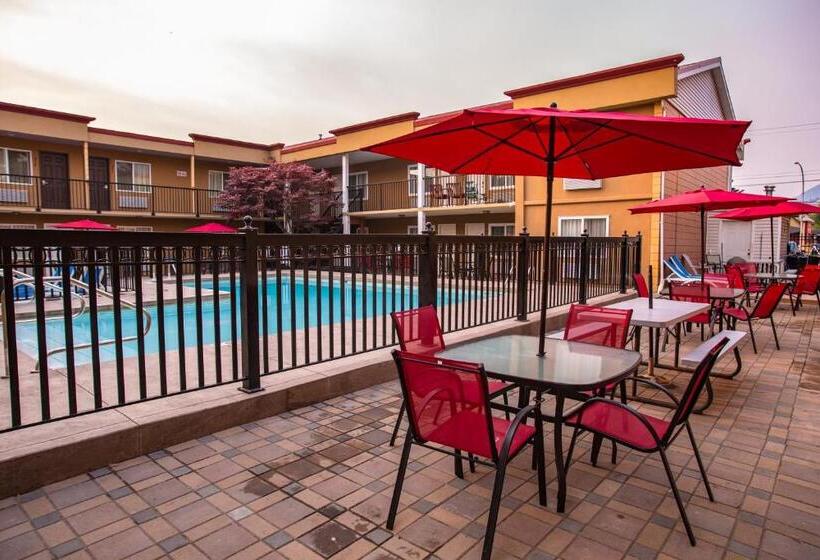 汽车旅馆  Sahara Courtyard Inn Penticton