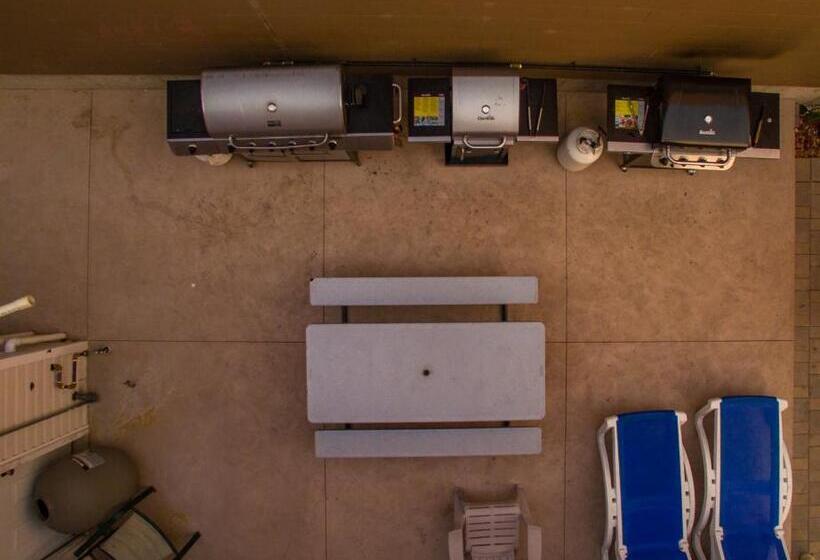 汽车旅馆  Sahara Courtyard Inn Penticton