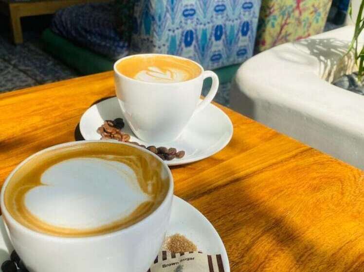 Moustache Hostel Jaipur