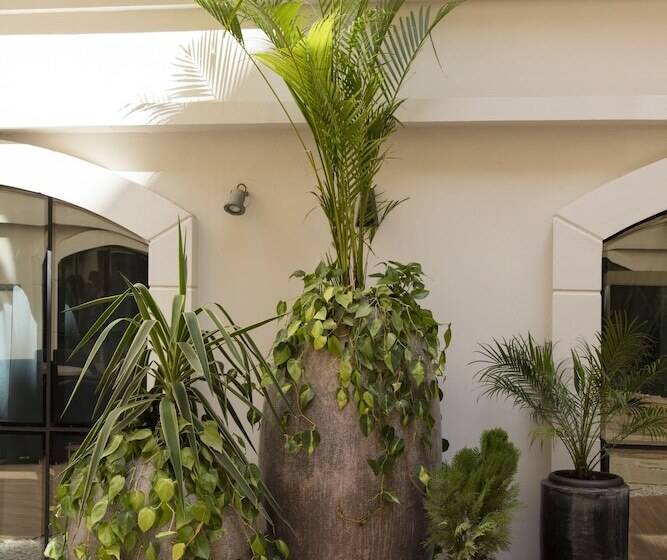 Muscat Hotel & Apartment