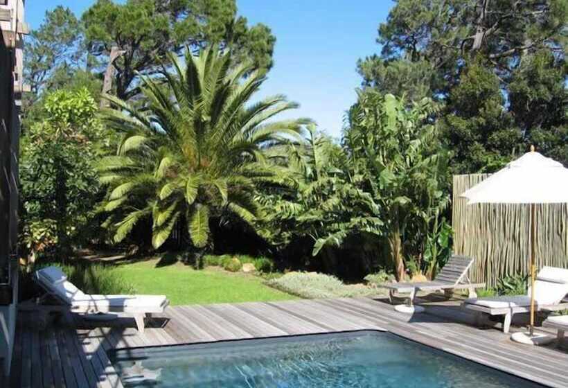 פנסיון Atlantic House