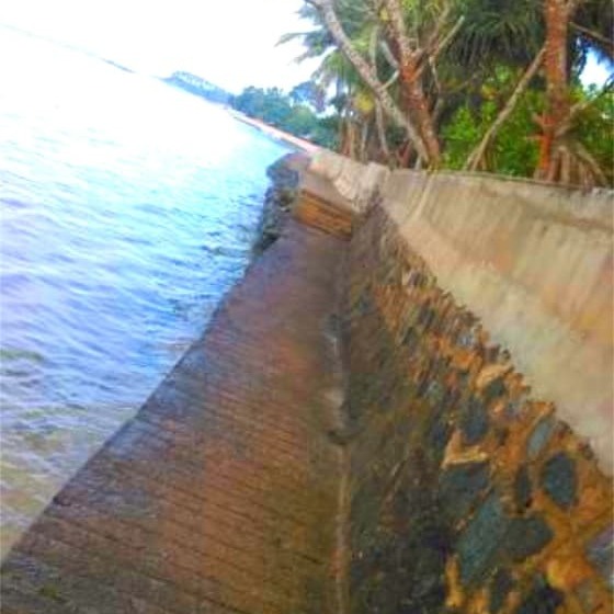 膳宿费 Chaya Villa Guest House