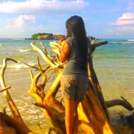 膳宿费 Chaya Villa Guest House