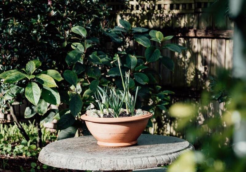 ペンション Genesta House