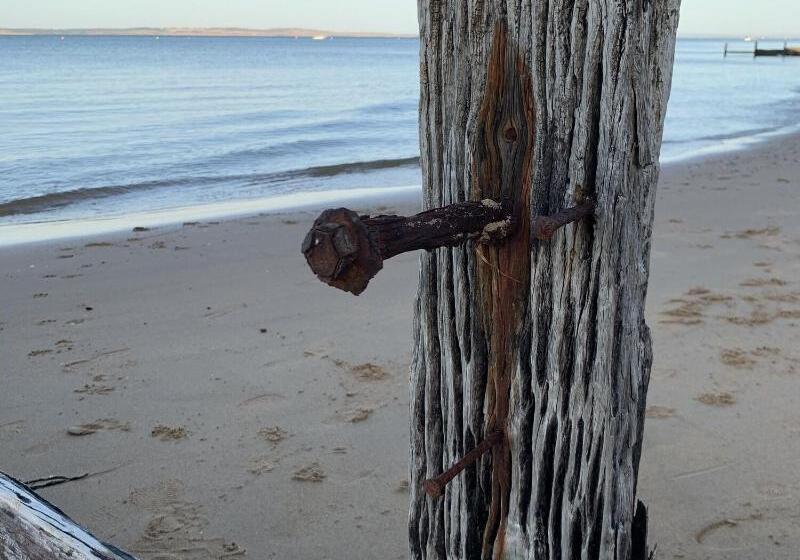 ペンション Genesta House