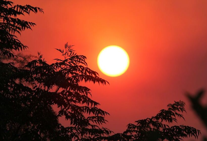 پانسیون Gumtree Guest House