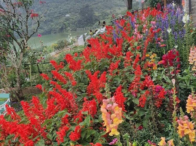 펜션 Lakeside Cottages