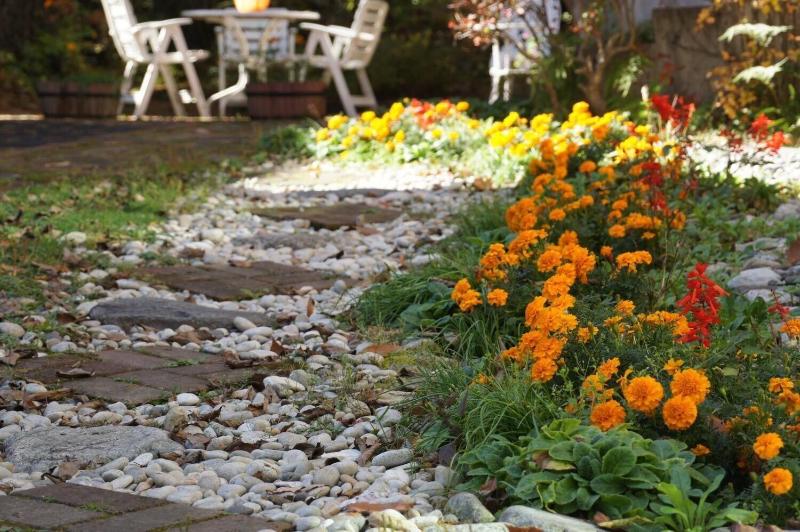 פנסיון Land Haus Dancru Netz