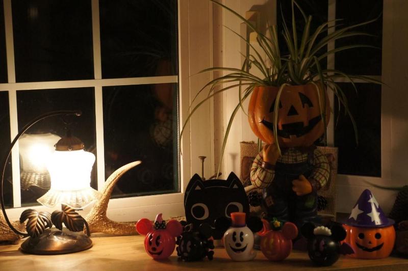 פנסיון Land Haus Dancru Netz