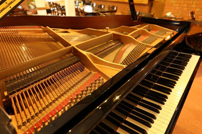 פנסיון Land Haus Dancru Netz