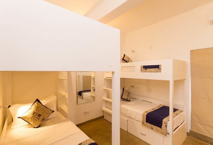 膳宿费 T&v Boutique Hostel