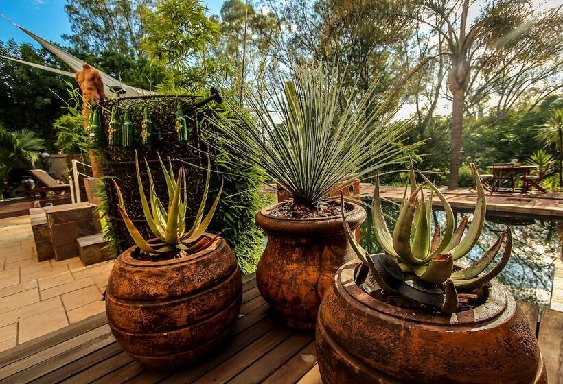 膳宿费 Twin Waters Guest House