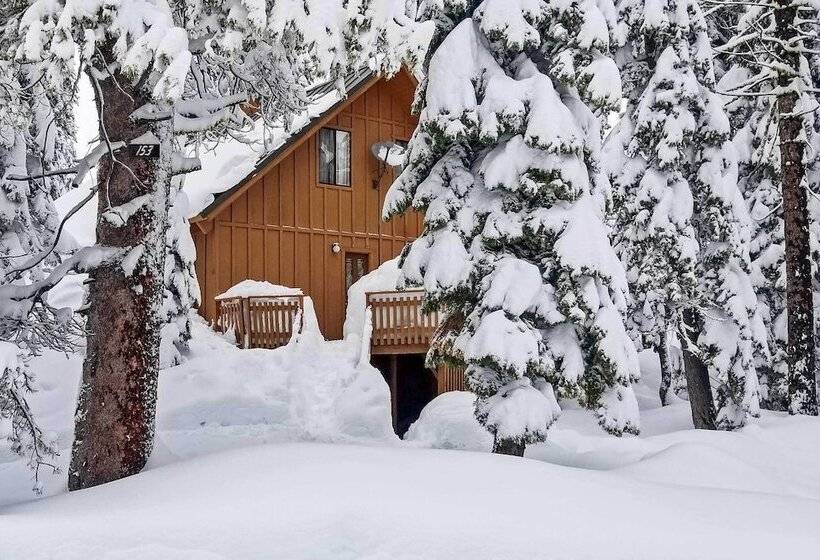 Near Hiking & Skiing: Bear Valley Cabin!
