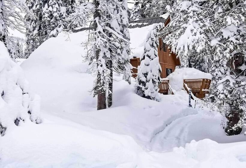 Near Hiking & Skiing: Bear Valley Cabin!