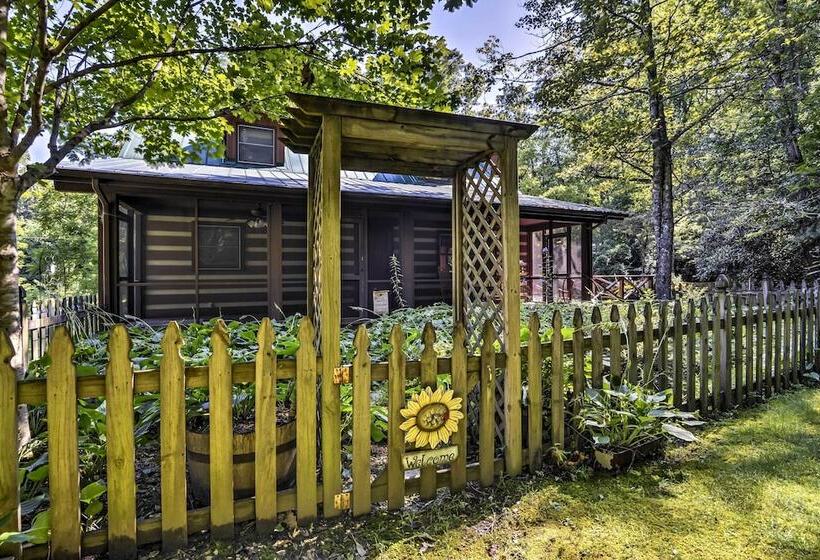 Black Mountain Cabin W/ Screened Porch + Views!