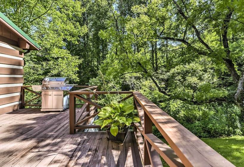 Black Mountain Cabin W/ Screened Porch + Views!