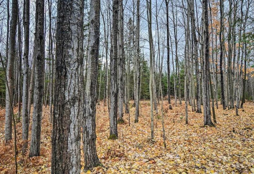 Camp Tony  W/ Trail Access: Walk To Lake Huron!