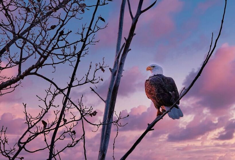 Charming Lakefront Cabin W/ Deck & Fire Pit!