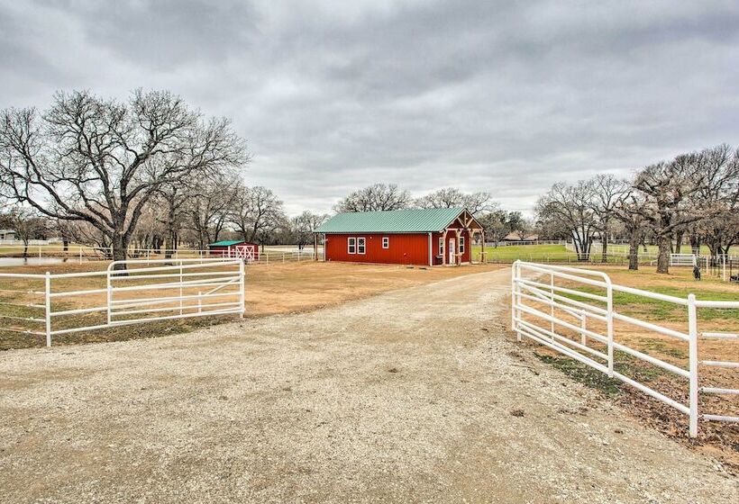 Dog Friendly Texas Ranch W/ Patio, Horses On Site